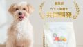 ミシュワン 小型犬用 サムネイル